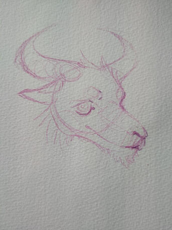 initial sketch of large moony portrait