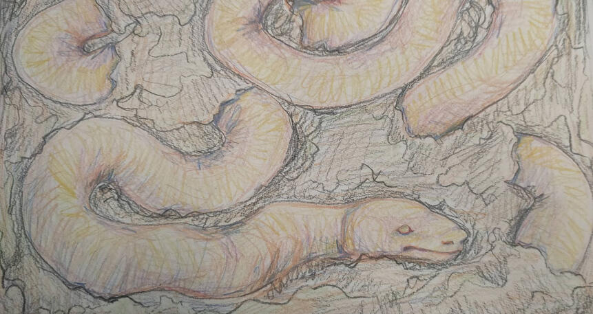 wyrm in the dirt initial sketch