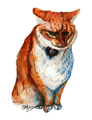 Glass pen & watercolour cat study