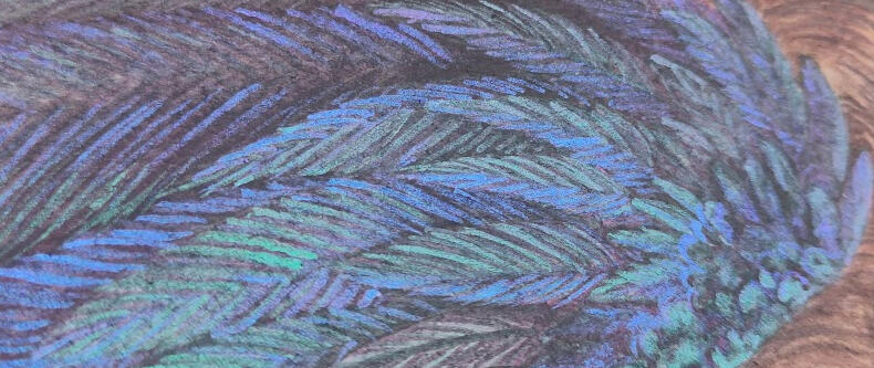Detail